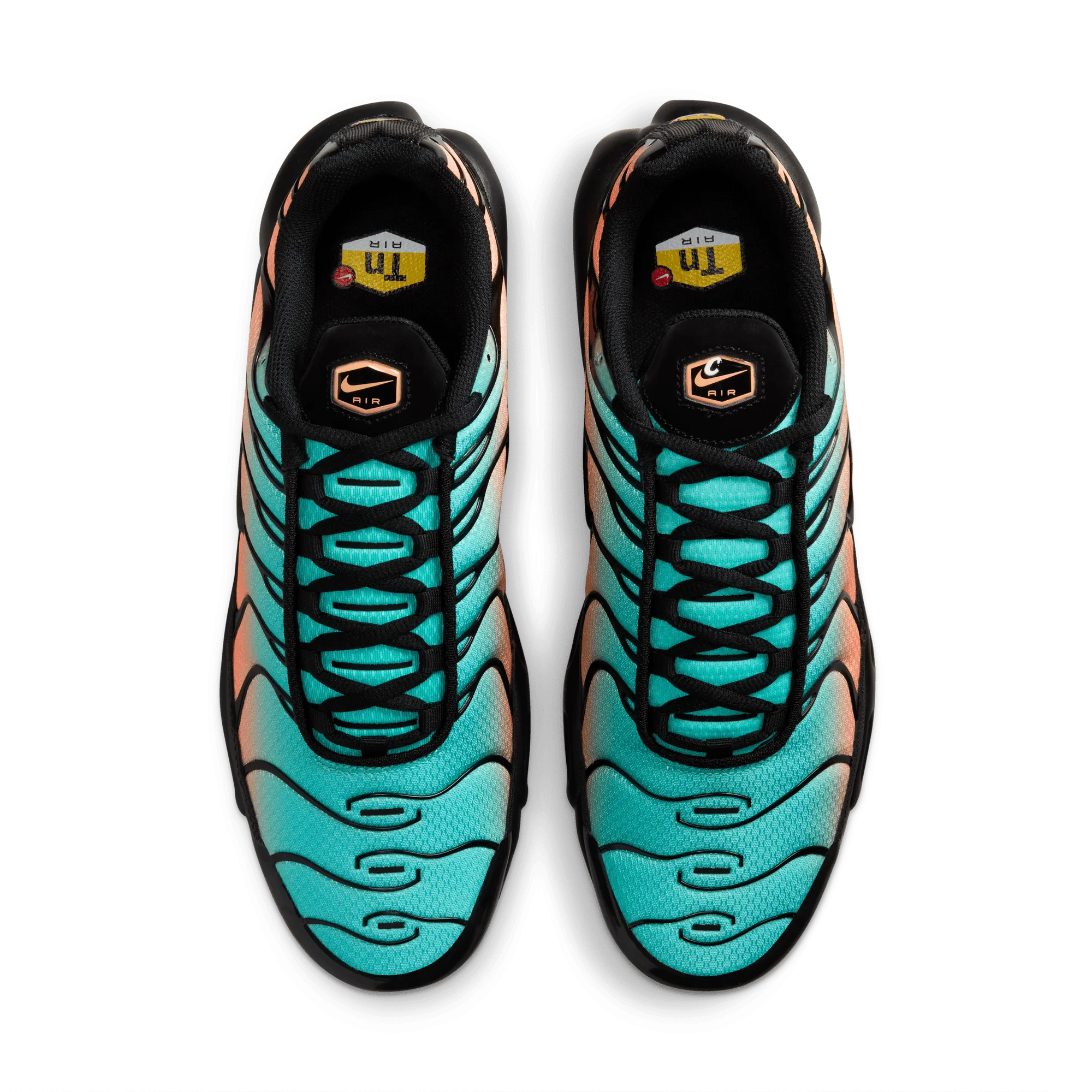 Day-Long Comfort Air Max Plus 'South Beach'