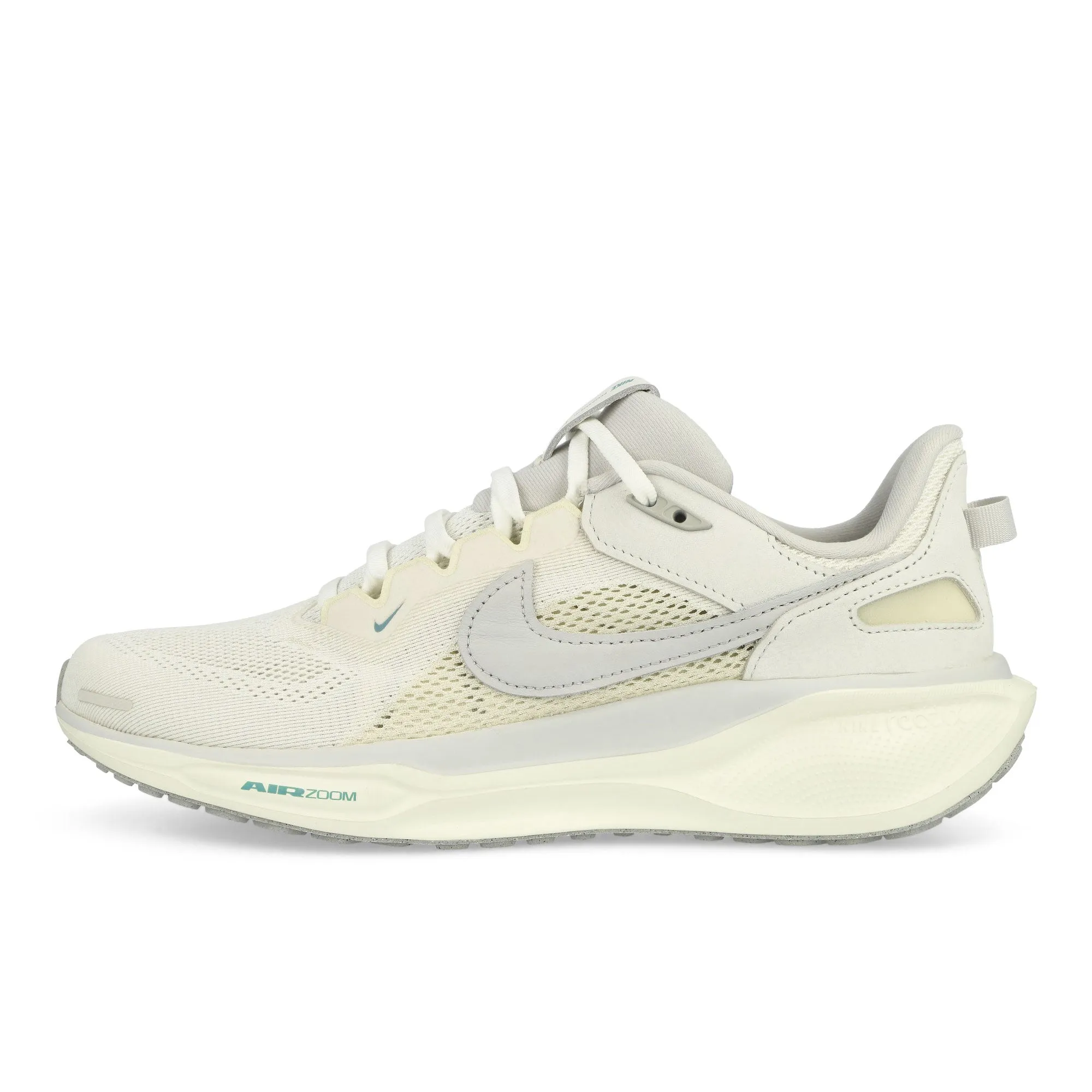 Air Zoom Pegasus 41 SP Biodegradable Components