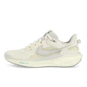 Air Zoom Pegasus 41 SP Biodegradable Components