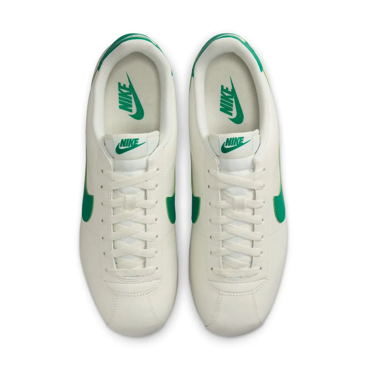 Smooth Curve Cortez 'Sail Stadium Green'