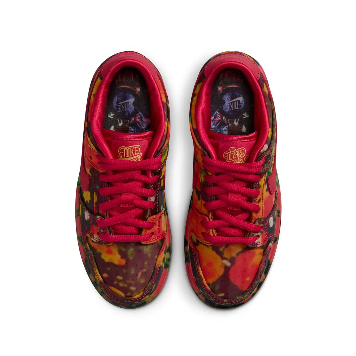 '  Wizard of Oz Kids SB Dunk Low Pro 'Poppy Fields' Quick Release