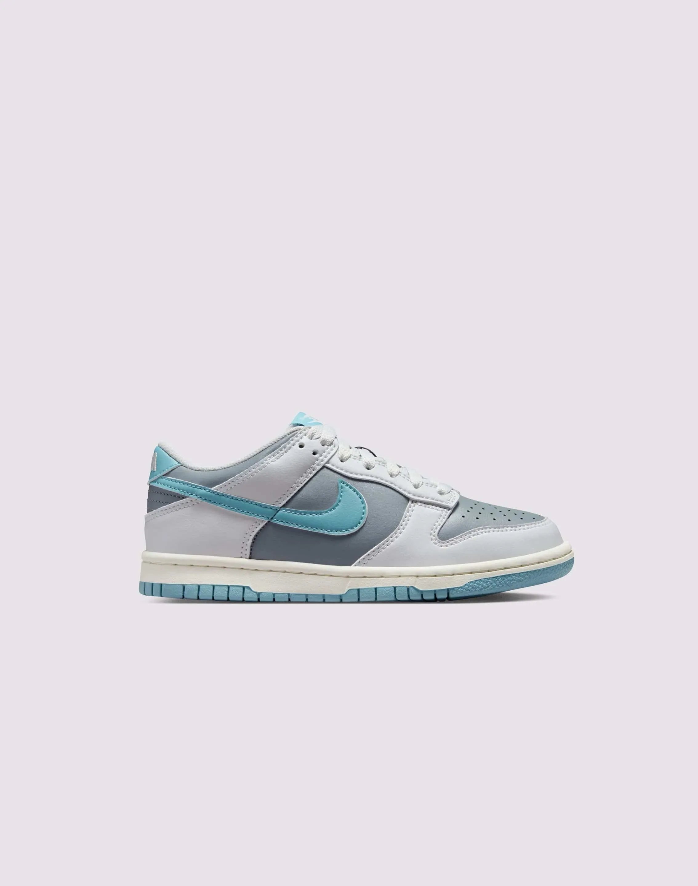 Nike Dunk Low Grade-School Breathable Ventilation