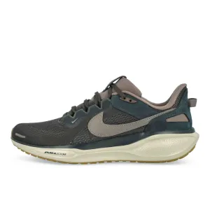 Sleek Option Microperforation Detail Air Zoom Pegasus 41 SP