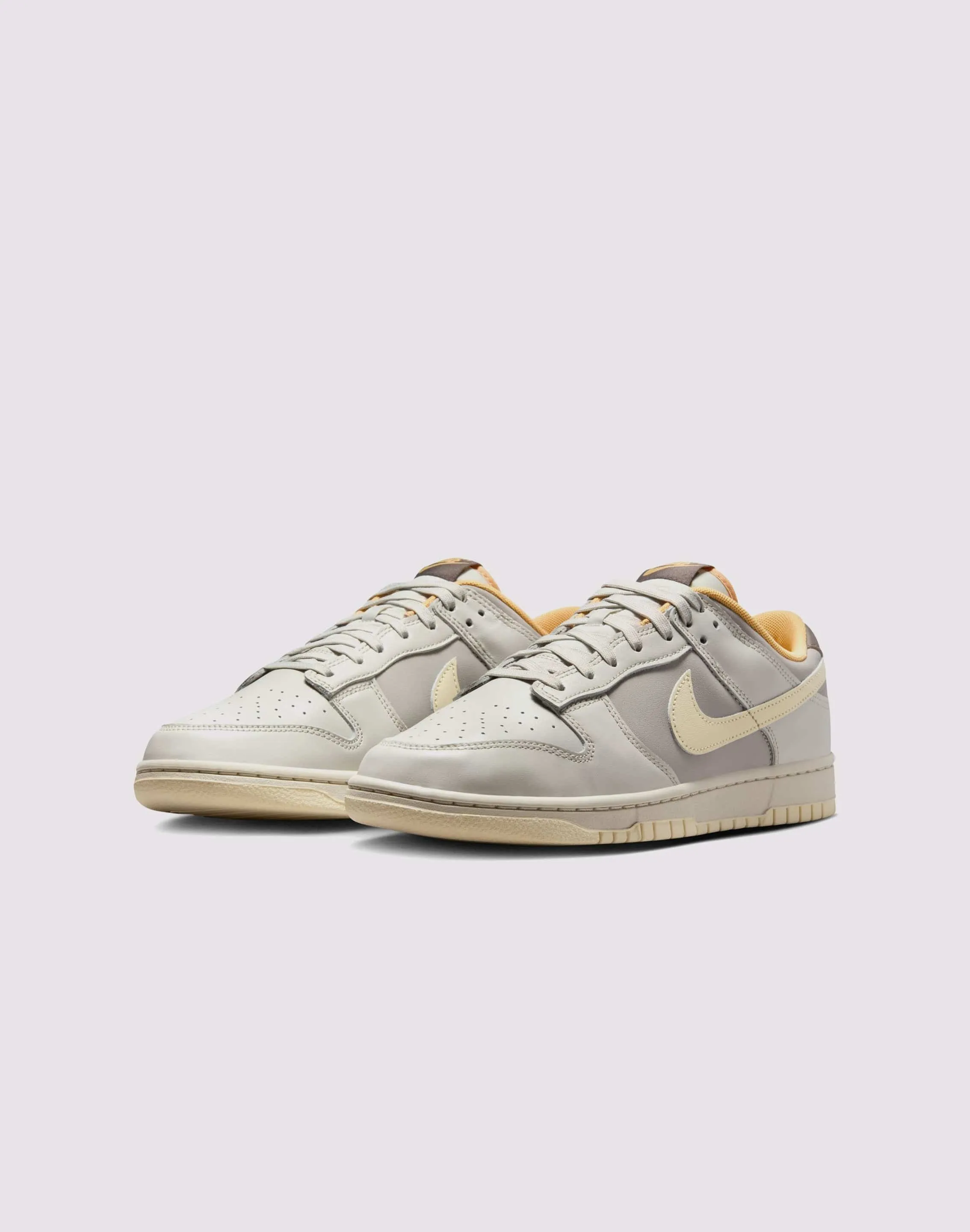 AntiFriction Quick Flex Shoes Nike Dunk Low Retro