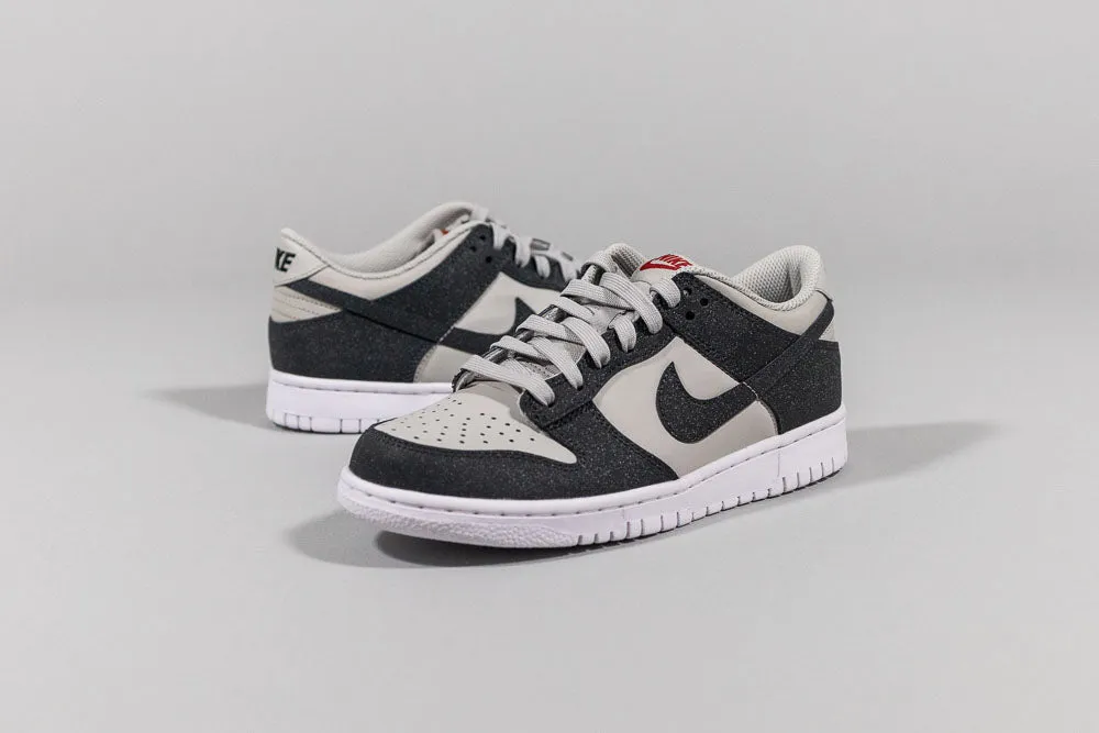 Lateral Support Frame Nike Dunk Low 'Anthracite Nike' (GS)