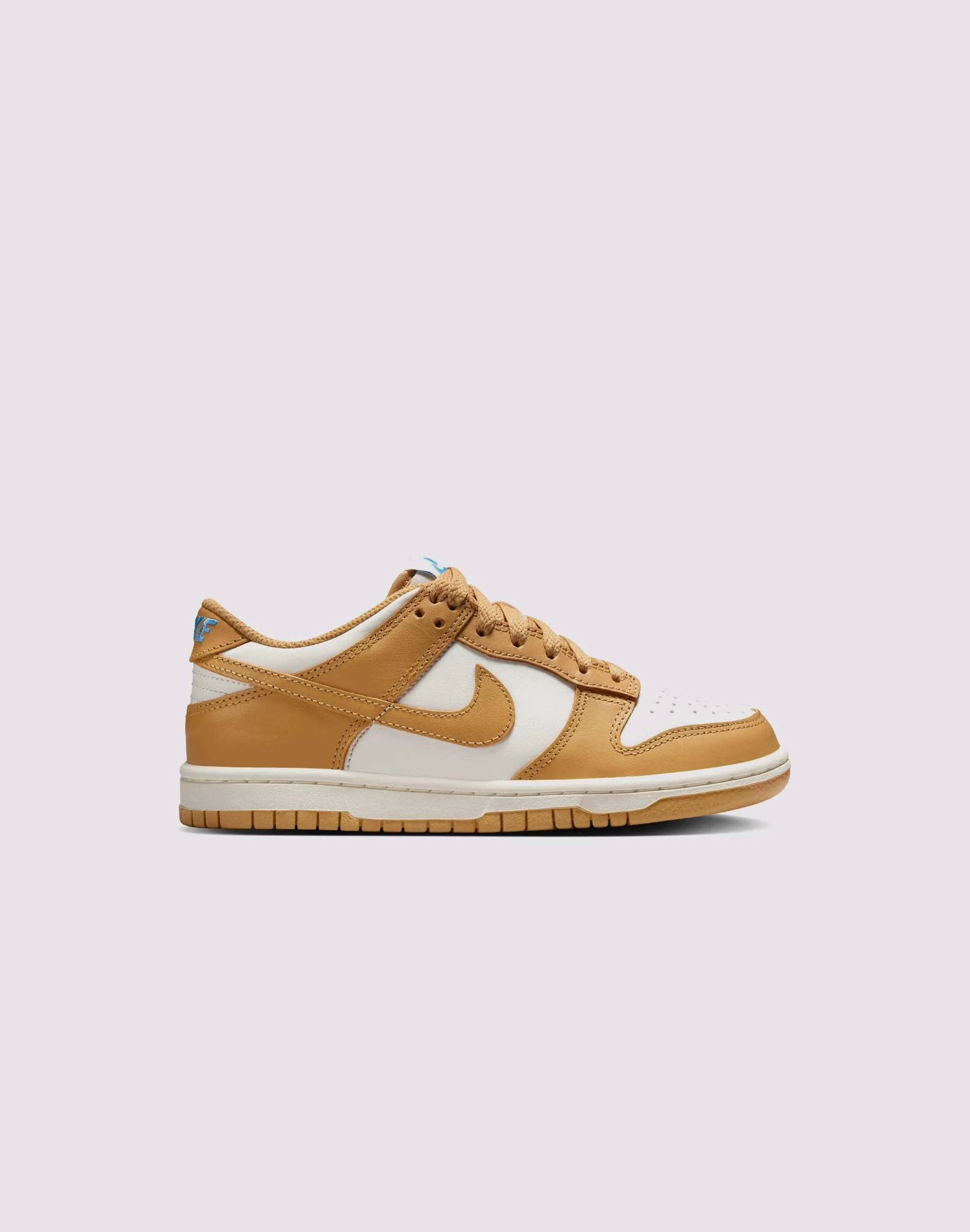 Nike Dunk Low Grade-School Impact Resistant Construction