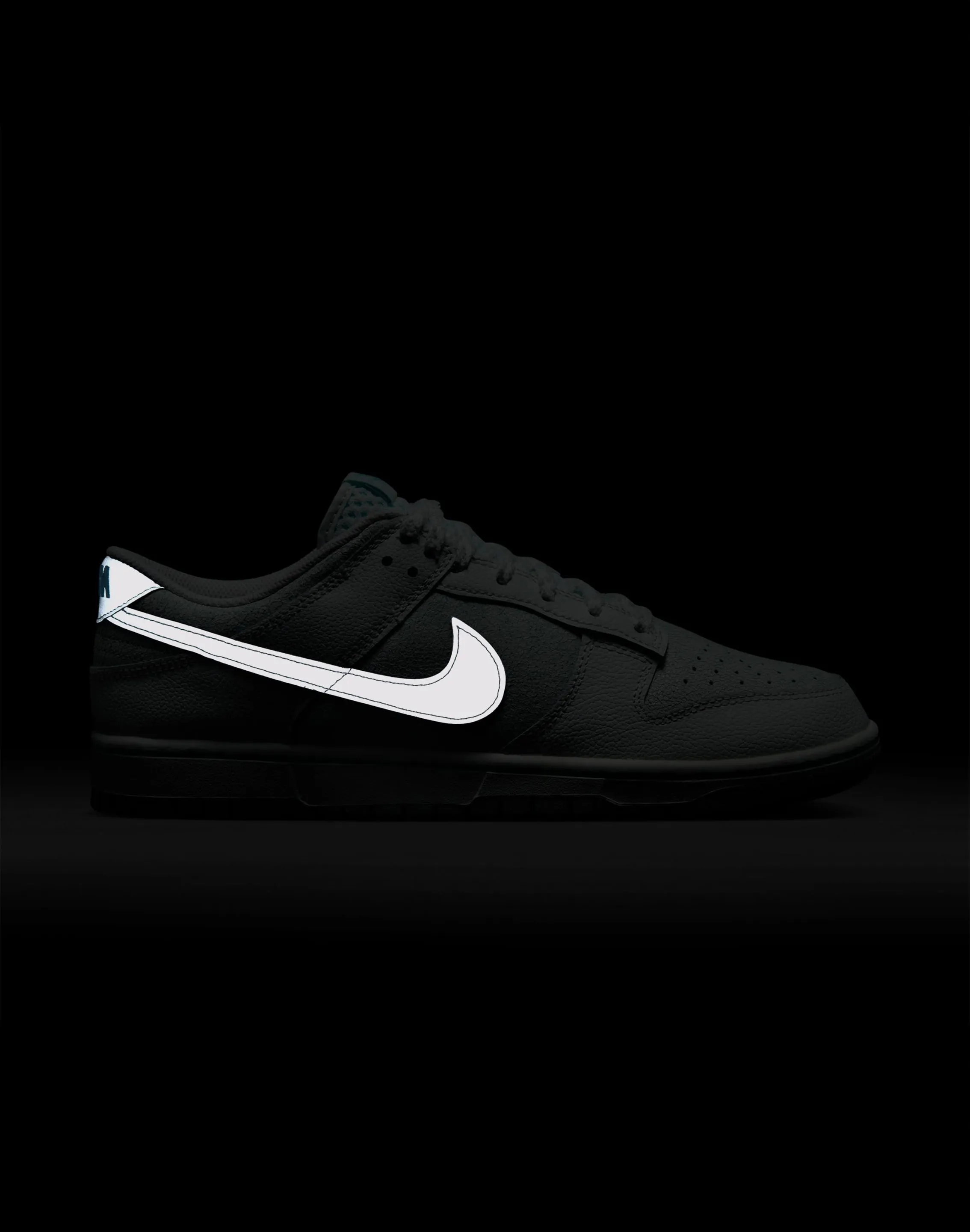 Hoops Ready Nike Dunk Low Retro