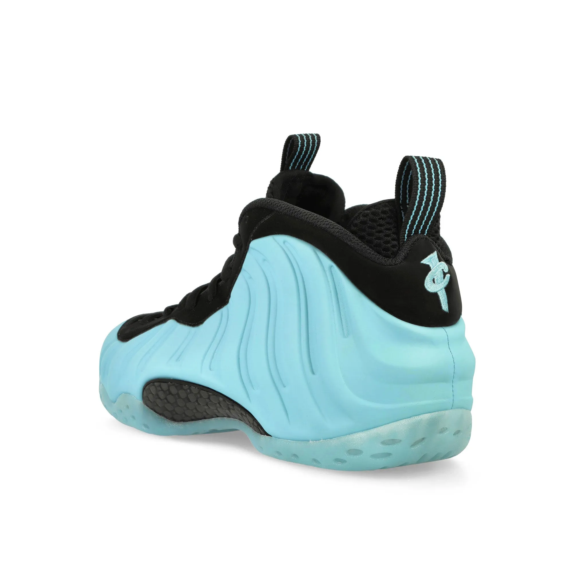 Air Foamposite One Modern Frame